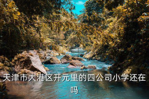 天津市大港區(qū)開元里的四公司小學(xué)還在嗎