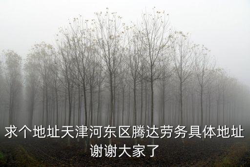 天津市騰達(dá)節(jié)能科技有限公司，求個地址天津河?xùn)|區(qū)騰達(dá)勞務(wù)具體地址謝謝大家了