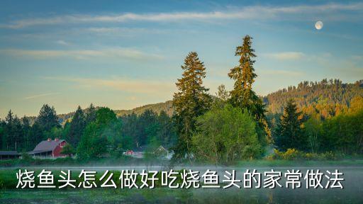 燒魚頭怎么做好吃燒魚頭的家常做法