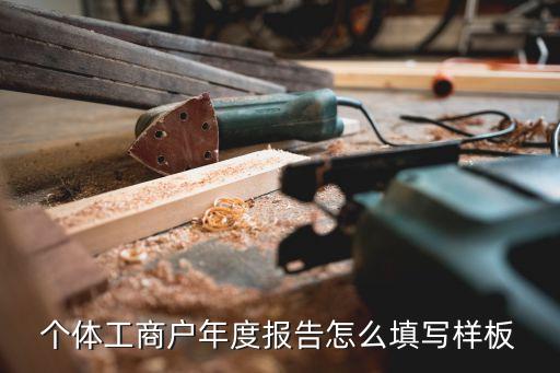 個體工商戶年度報告怎么填寫樣板