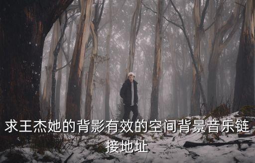 求王杰她的背影有效的空間背景音樂(lè)鏈接地址