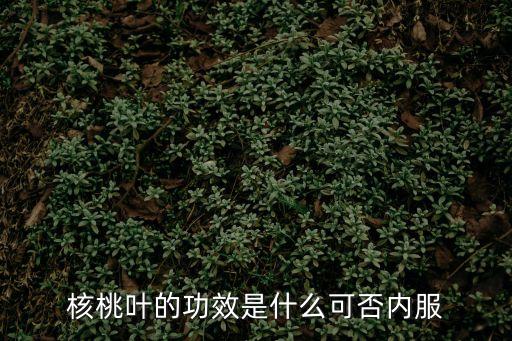核桃葉，核桃葉的作用