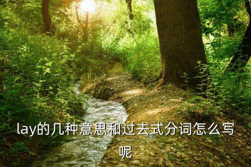 lay的過去式，lay的過去式是什么
