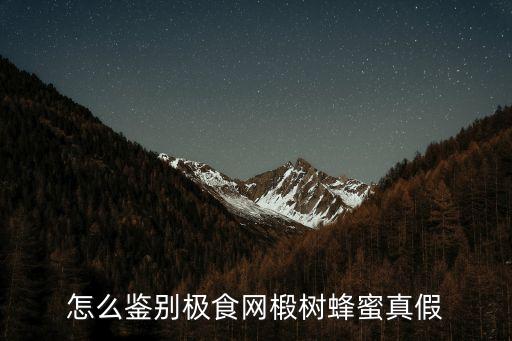 怎么鑒別極食網椴樹蜂蜜真假