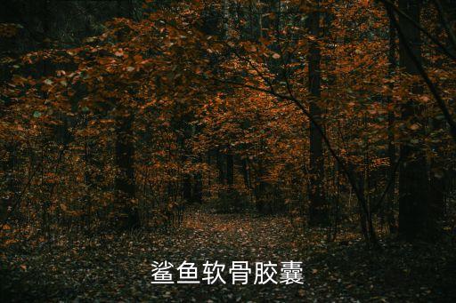 鯊魚軟骨膠囊