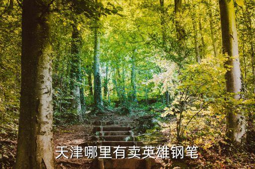 天津哪里有賣英雄鋼筆