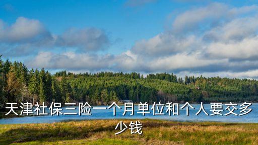 天津社保三險一個月單位和個人要交多少錢