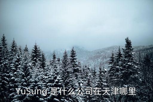 YuSung 是什么公司在天津哪里
