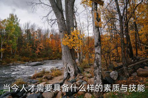 人才素質，人才具有怎樣的品質素質