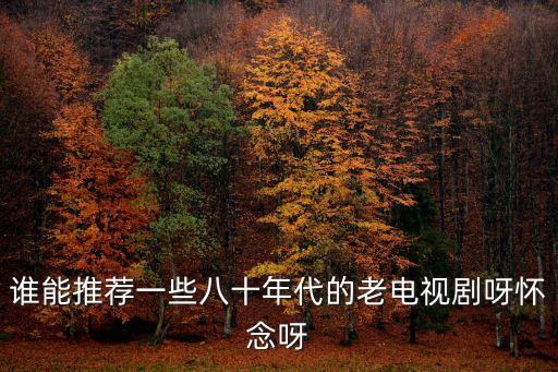 誰(shuí)能推薦一些八十年代的老電視劇呀懷念呀
