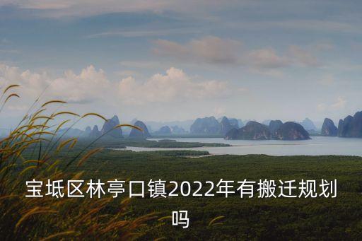 寶坻區林亭口鎮2022年有搬遷規劃嗎