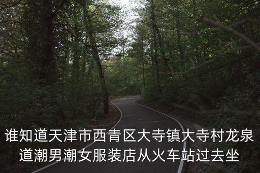 天津市潮男店，天津市里的濱江道有哪些潮店