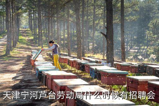 天津?qū)幒犹J臺(tái)勞動(dòng)局什么時(shí)候有招聘會(huì)