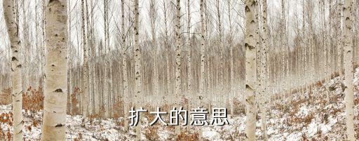 擴大的意思