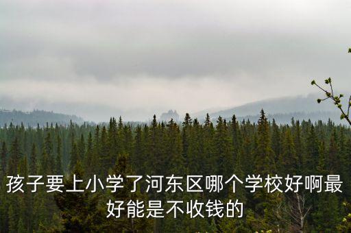 天津市河東區麗苑小學好嗎，孩子要上小學了河東區哪個學校好啊最好能是不收錢的