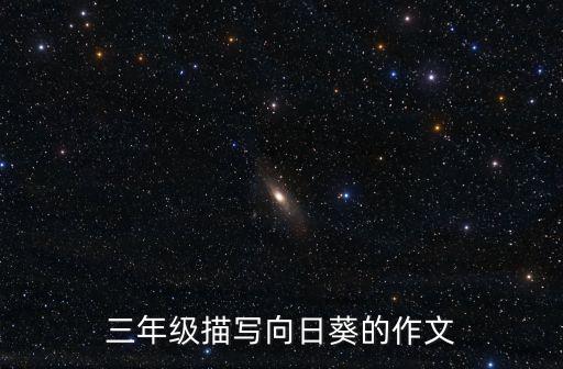 三年級描寫向日葵的作文