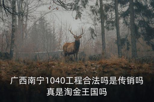廣西南寧1040工程合法嗎是傳銷嗎真是淘金王國嗎