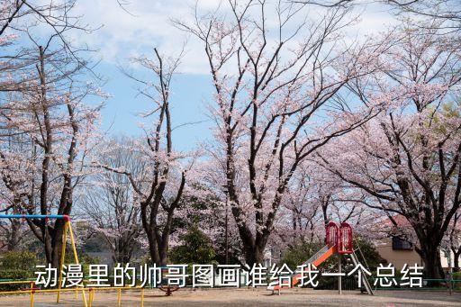 動漫里的帥哥圖畫誰給我一個總結