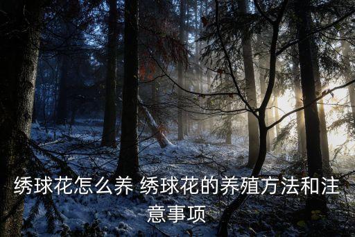繡球花怎么養 繡球花的養殖方法和注意事項