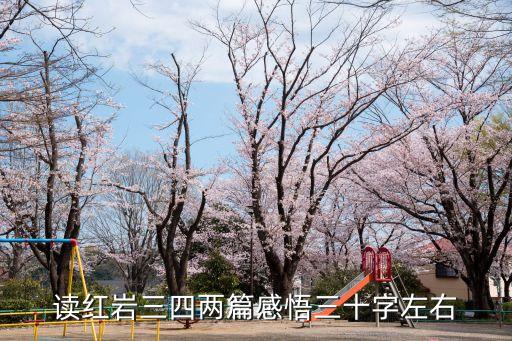 紅巖讀書心得，讀紅巖三四兩篇感悟三十字左右