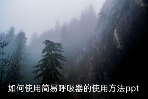 簡(jiǎn)易呼吸器6個(gè)閥圖解，如何使用簡(jiǎn)易呼吸器的使用方法ppt