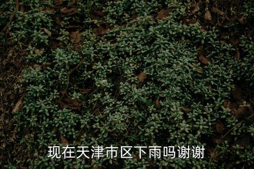 現(xiàn)在天津市區(qū)下雨嗎謝謝