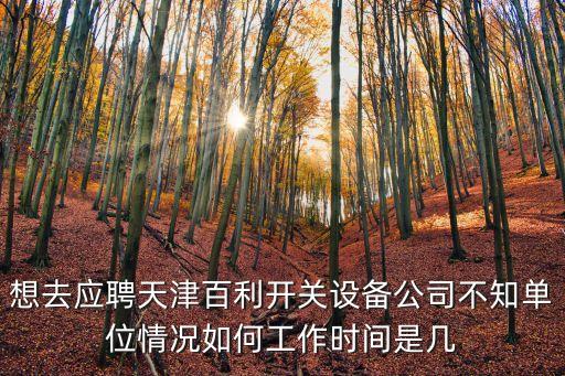 天津市百利紐泰克電氣科技，天津百利紐泰克什么性質