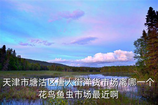 天津市唐人街在那里，天津洋貨唐人街什么時候成立的