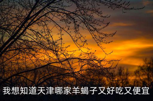 我想知道天津哪家羊蝎子又好吃又便宜