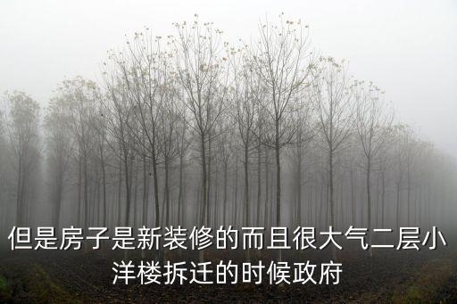但是房子是新裝修的而且很大氣二層小洋樓拆遷的時候政府