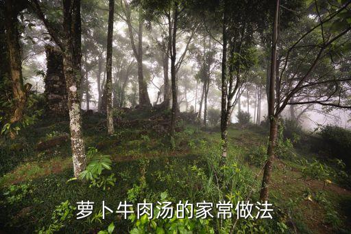 蘿卜牛肉湯的做法，怎樣做好喝的牛肉湯 蘿卜牛肉湯的做法