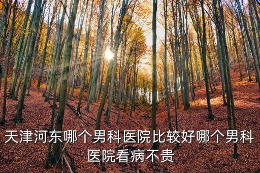 天津市河東區東城醫院，我想問天津各大醫院地址