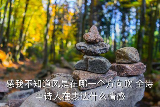 感我不知道風是在哪一個方向吹 全詩中詩人在表達什么情感