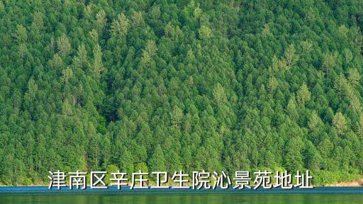 天津市津南區四維彩超，從天津東麗區國山路到津南區吉兆路環湖醫院座什么車
