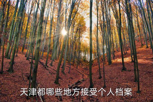 天津都哪些地方接受個人檔案