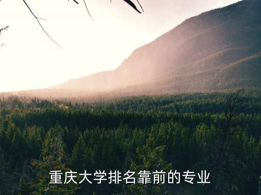 重慶大學專業，重慶大學的好專業