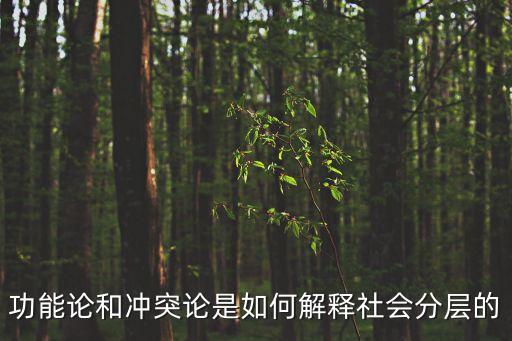 功能論和沖突論是如何解釋社會分層的
