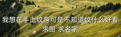 我想在手上紋身可是不知道紋什么好看求圖 求名字