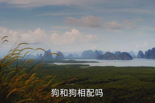 狗和狗相配嗎