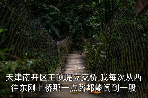 天津市王頂堤大橋道，王頂堤迎水東里就是大橋道那的夜市是沒有了么10份去的時候