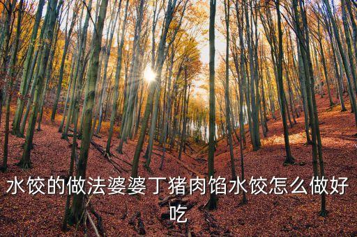 水餃的做法婆婆丁豬肉餡水餃怎么做好吃