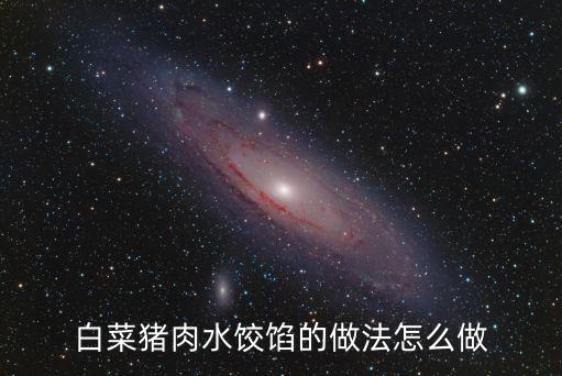 白菜豬肉水餃餡的做法怎么做