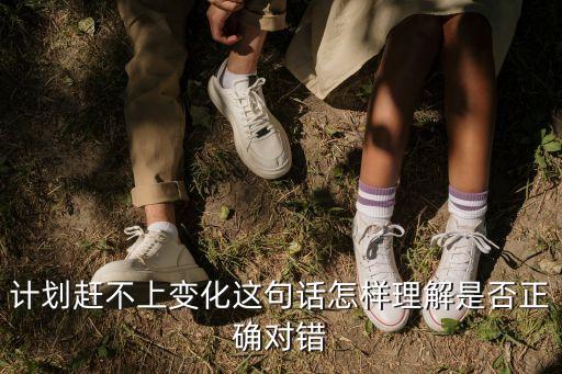 計劃趕不上變化這句話怎樣理解是否正確對錯