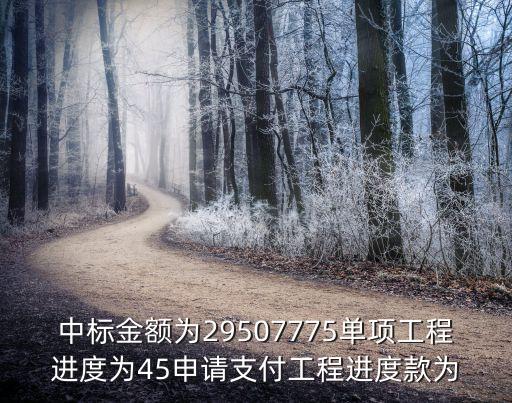 天津市審計局中標結果，中標金額為29507775單項工程進度為45申請支付工程進度款為