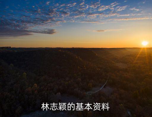 林志穎的基本資料