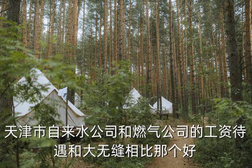 天津市水務集團職工，天津自來水公司正式員工的工作日是什么樣子的