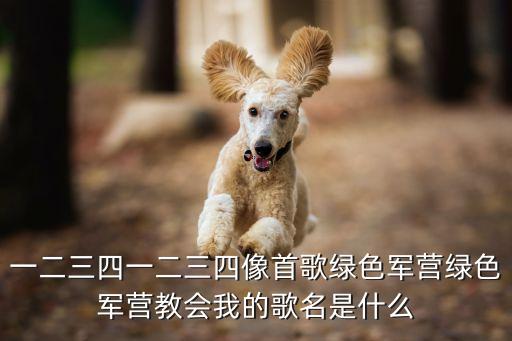 一二三四一二三四像首歌綠色軍營綠色軍營教會我的歌名是什么