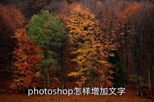 photoshop怎樣增加文字