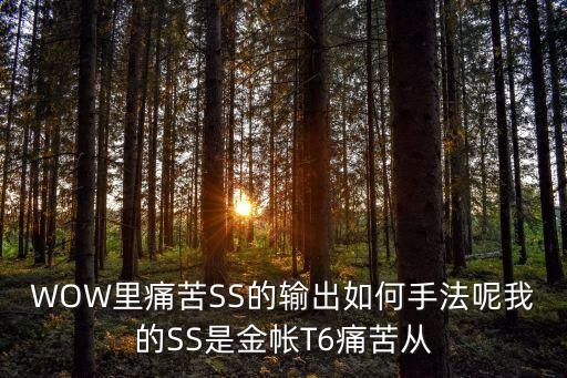 痛苦ss輸出手法，WOW里痛苦SS的輸出如何手法呢我的SS是金帳T6痛苦從