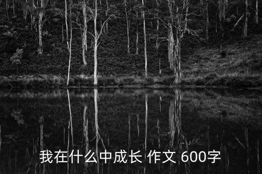 我在什么中成長 作文 600字